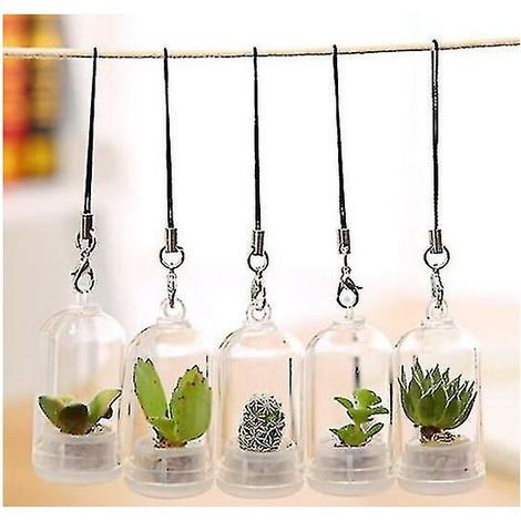 Creative Mini Simulation Succulent Plant Glass Keychain (1/4)