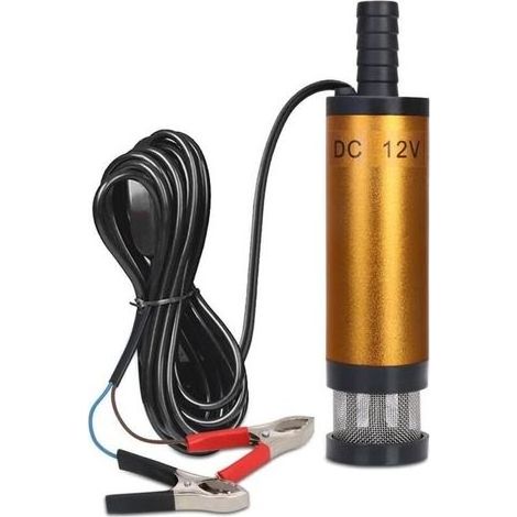 Lntyq – Pompe immergée 12V pour eau et gasoil – Débit 19mm – Acier inoxydable et aluminium – Interrupteur d'alimentation inclus (1/5)
