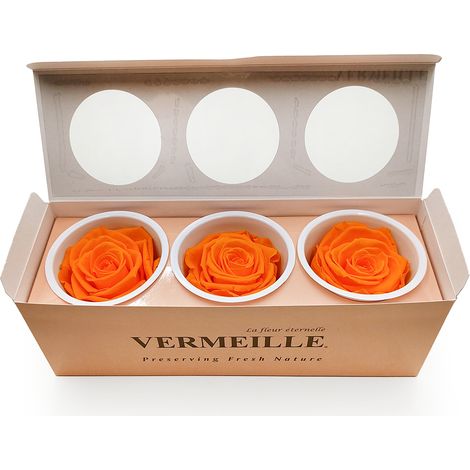 Rosa estabilizada - Naranja - Naranja - XL - 3 unidades