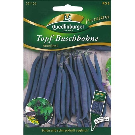 Quedlinburger Topf-Buschbohne Amethyst - Gemüsesamen (1/2)
