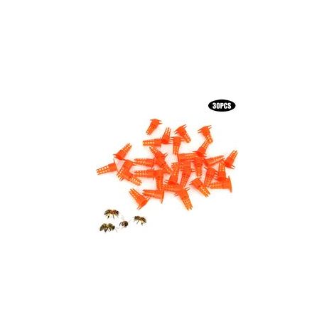 Lot de 30 couvercles de protection en plastique pour cages à reines, coupelles d'élevage de reines, outils apicoles (1/5)