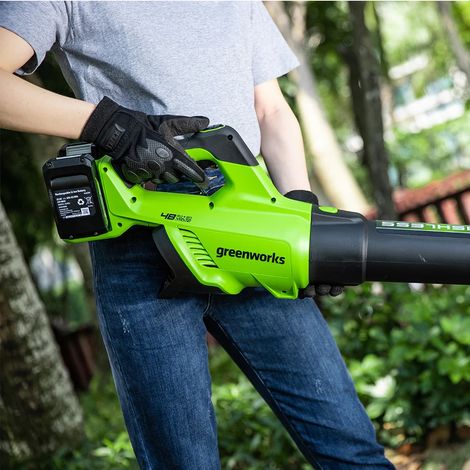 Greenworks Tools 01-0002405007UC GD24X2ABK2x Souffleurs, 48 V, Vert, Noir, Gris, 2 x 24...