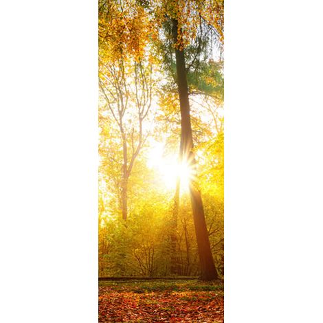 Panneau mural douche en alu-composite VIPANEL - Inspiration Nature Décor Forêt d'Automne - Finition Brillant - 100x255cm (1/5)