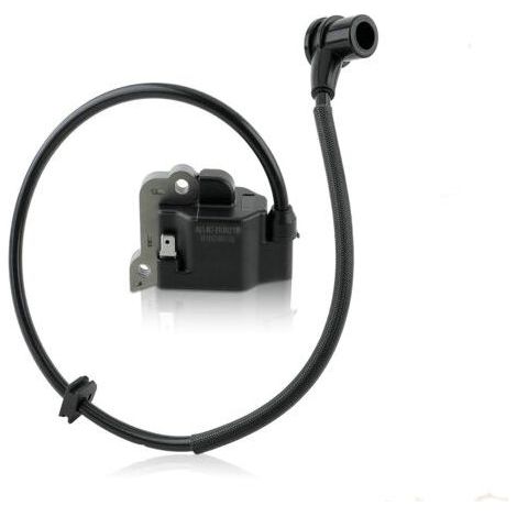 Bobine d'allumage haute tension compatible avec PR46BT PR48BT GB355BP Remplace 501424329 (1/2)