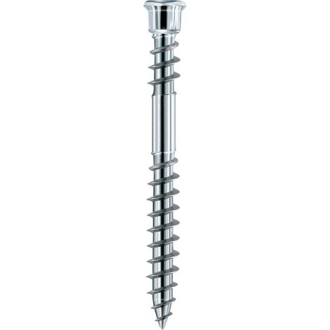Eurotec Schraube Terrassotec geh. DIN10088 5,5x 60mm T25 100 Stk (1/4)