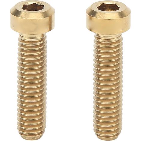 2Pcs Vis M6 23,5mm Alliage Titane Antioxydation Anti-Rouille Fixation Sûre Boulon Tige pour Vélo (1/5)