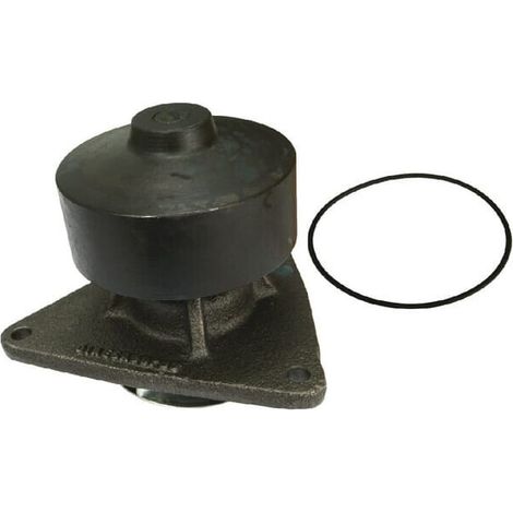 Pompa acqua VAPORMATIC VPE1139