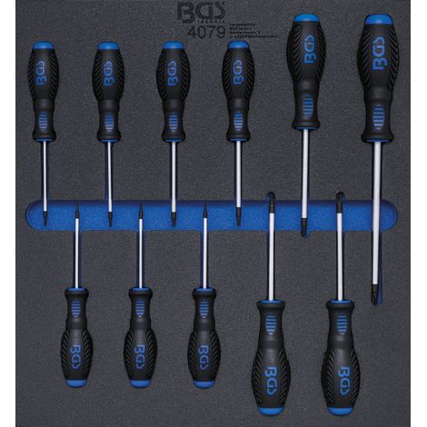 BGS Inserción para carro de taller 2/3: Destornilladores de perfil en T (para Torx) T6 - T40 11 piezas. - 4079