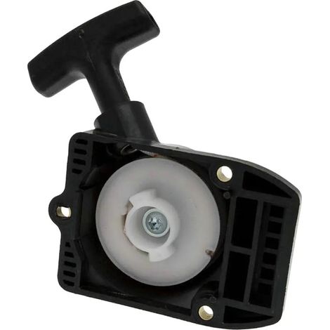 Démarreur de remplacement pour BG75 85 85 / FS75 80 (1/5)