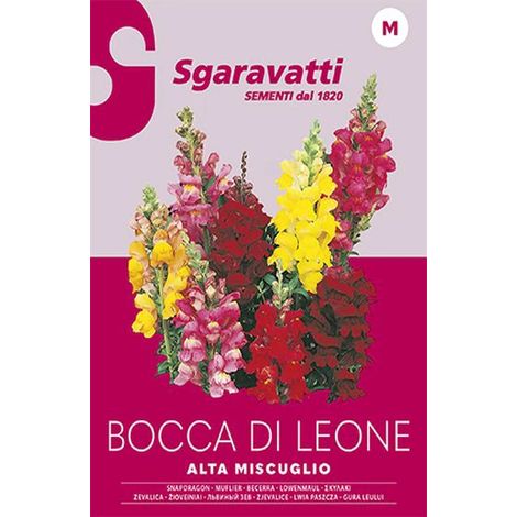 Semi per Prato Universale Bocca di Leone Sgaravatti 20 Pezzi (1/2)