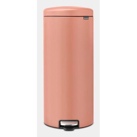 Tretmülleimer Brabantia 30 Liter Edelstahl Soft-Close (1/5)