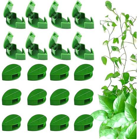 50 pinzas para plantas trepadoras, pinzas autoadhesivas de soporte para plantas, pinzas invisibles para pared, pinzas para hojas de plantas trepadoras (1/5)