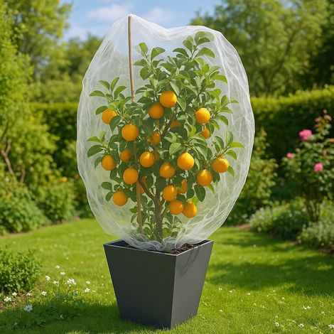 Obstbaumnetz 70x100CM im 4er-Pack Weißes Netzgewebe zum Schutz von Vögeln und Insekten (1/5)