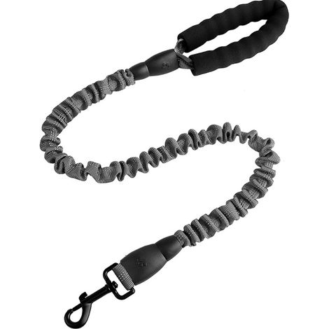 Laisse Pour Chien Extensible - Réfléchissante - Avec Amortisseur Élastique - Pour Promenade Course Et Randonnée - 1 Pièce (1/5)