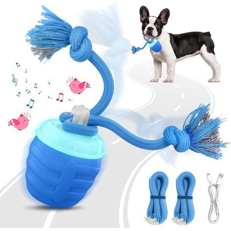 Giocattolo interattivo per cani - Movimento - palla attivata - cani di taglia media/grande - giocattolo per cani con movimento automatico - perfetto per cani annoiati (1/3)