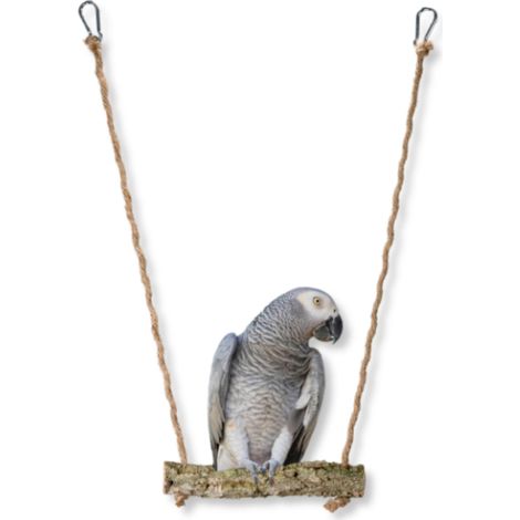 Columpio de rama de alcornoque natural para loros (1/5)