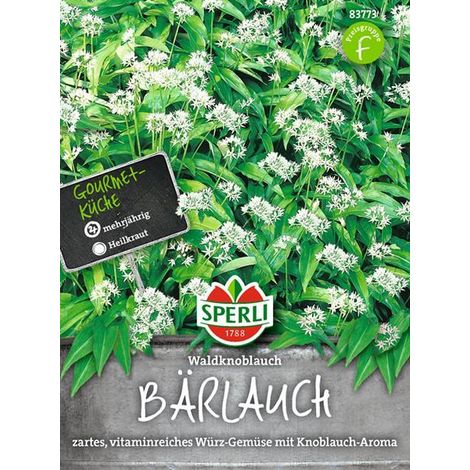 Sperli Bärlauch Waldknoblauch - Kräutersamen (1/4)