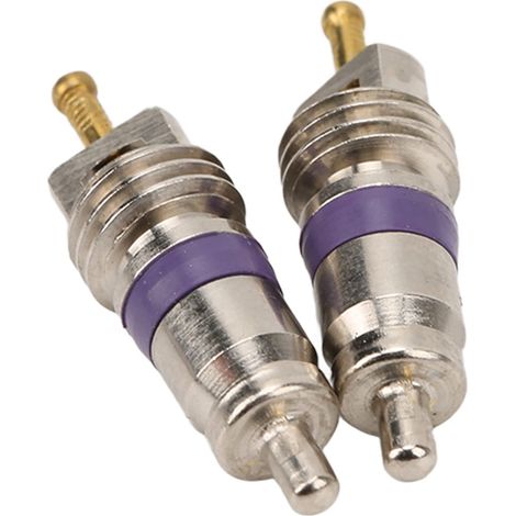 Lot de 2 obus de valve de climatisation automobile – Obus de rechange pour systèmes de climatisation Mercedes-Benz (1/4)