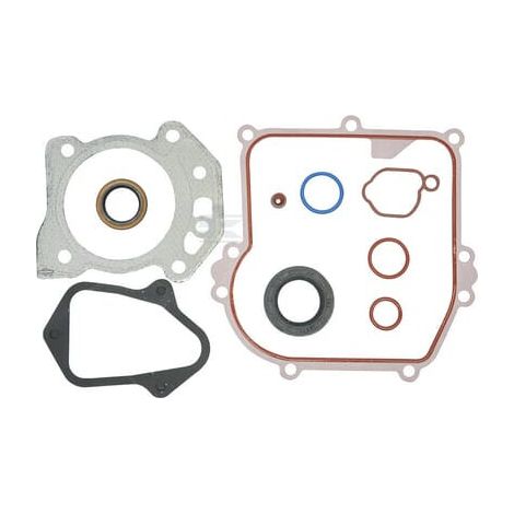 Jeu de joints BRIGGS & STRATTON 84006587
