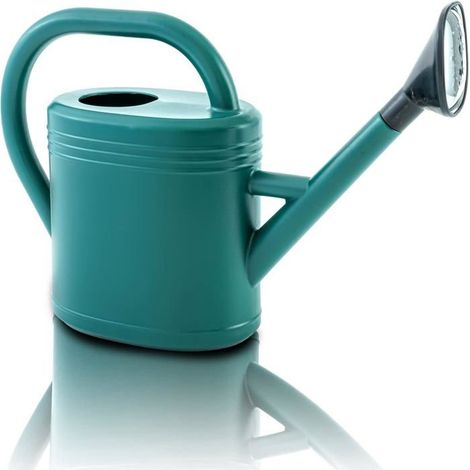Petit arrosoir pour plantes, intérieur/extérieur, tête d'arrosage amovible, jardinage facile