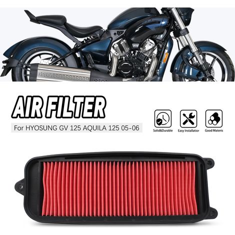 Kompatibel mit Hyosung GV125 (05-06), GV250 (04-08) und Aquila (Korea) Luftfiltern. (1/5)