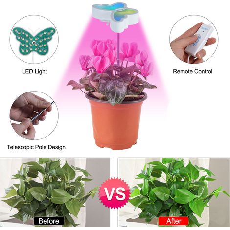 Lampe de croissance LED USB télescopique pour plantes succulentes colorées (1/5)