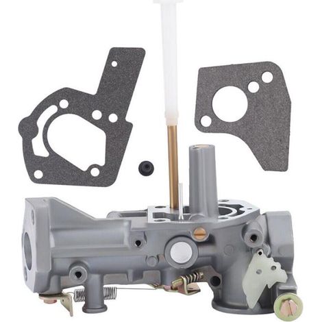 Convient pour carburateur Briggs & Stratton 495459 495460 499952 499953 5HP (1/4)