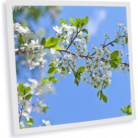 Dalle LED imprimée 600x600mm – Fabriquée en France – Éclairage personnalisé – Illusion optique haute résolution – Pack de 1 – Delitech (1/2)