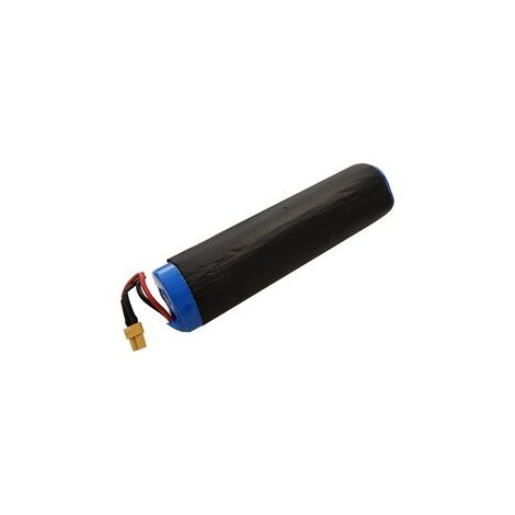 RICAMBIO BATTERIA PROIETTORE ENERGY 30W