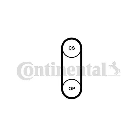 Courroie crantée Continental CT1190 FORD 1761082 2247872 CM5G6B651EA