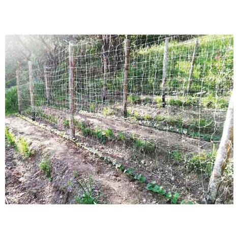 RETE RAMPICANTE IDEAL STAR 2x100 mt - colore bianco - IDEAL STAR