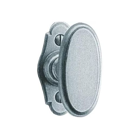 Bouton de fenêtre Corrèze : 70 x 35 mm - TORBEL - Acier époxy gris