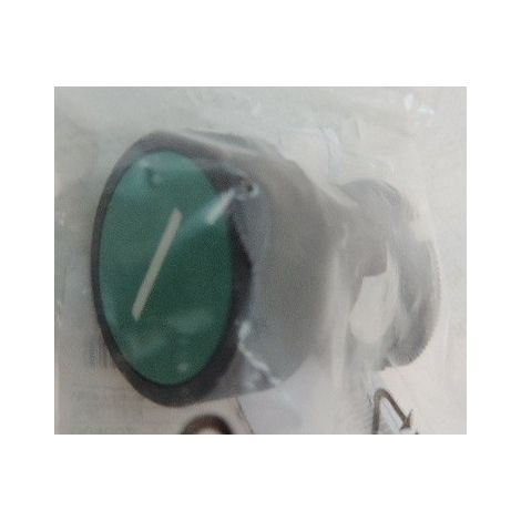 Tête verte affleurante de bouton poussoir diam 22mm pour boite pendante IP65 HARMONY SCHNEIDER ELECTRIC ZA2BA331