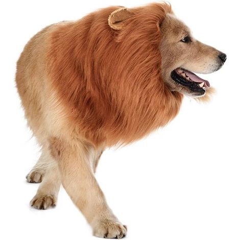 Das ideale Accessoire für lustige Hundekostüme – Perücke in Größe L, geeignet für mittelgroße bis große Hunderassen.