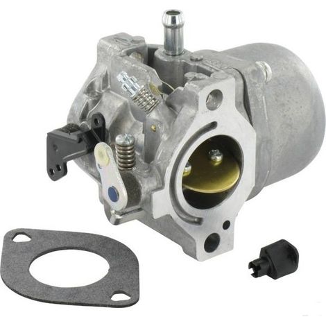 799728 - Carburateur complet pour moteur Briggs et Stratton (ex 495706)