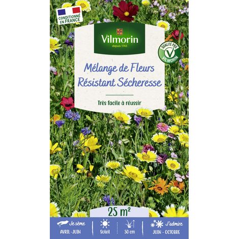 Vilmorin Fleurs Résistantes Sécheresse - 25 m² - Mélange de fleurs (1/2)
