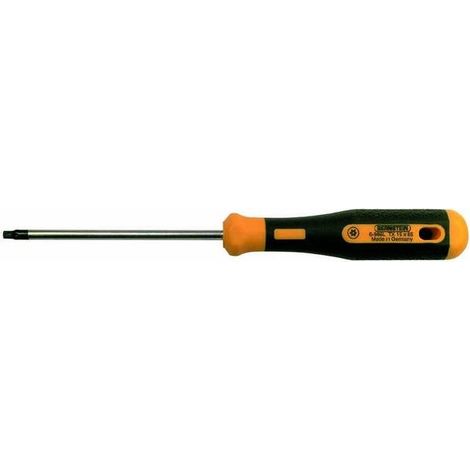 BERNSTEIN WERKZEUG GIRAVITE TORX EURO LINE POWER, T 6, 6 981