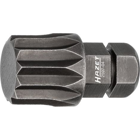 Hazet 2597-04 Tür-Scharnier-Bit 6k 8 mm, XZN M12