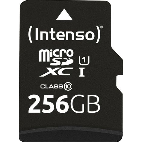 Carte microSD INTENSO Performance Line, 3424492, 256 Go (1/3)