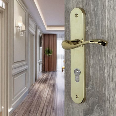 Ouvre&Déco – 2 poignées de porte d'entrée laiton poli brillant PVD Titane sur plaque trou cylindre, Entraxe standard 195 mm, LAURA (1/5)