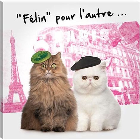 Cadre chats Félin pour l'autre Paris 40 x 40 cm