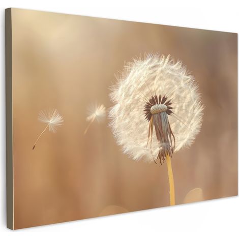 TABLEAU SUR TOILE Pissenlit - Beige - Nature - Fleur Décoration Chambre 30x20 cm