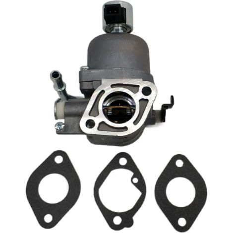 Carburateur pour moteur de tracteur tondeuse Intek 20 CV, références Briggs & Stratton 699807, 406577 et 407577. (1/5)
