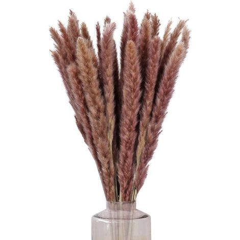 Natural dried pampas grass bouquet – 30 pieces, 60cm stems, natural brown color, ideal for home decor, weddings and balconies (1/5)
