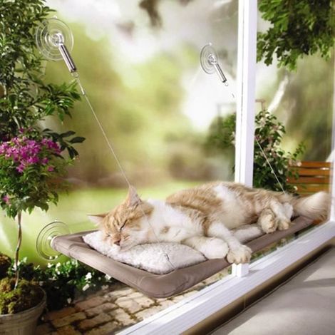 Jiyaru Hamac pour Chat Fixe à la Fenêtre Lit Panier de Chat Montée-Sunny Siège avec Ventouse Couchage (1/2)