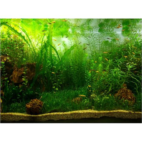 Affiche de fond d'aquarium de Style herbe d'eau, papier décoratif adhésif en PVC (122x50cm) (1/5)