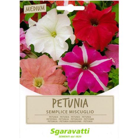 SEMI PER PRATO UNIVERSALE petunia semplice miscuglio 10 PZ