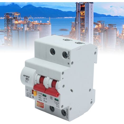 Intelligenter 2-poliger Schalter mit Fernbedienung, WLAN und Bluetooth, 100-A-Leistungsschalter (1/5)