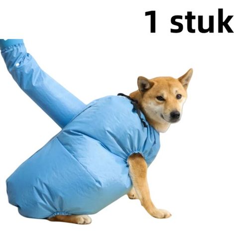 1er-Pack mittelgroßer Trockensack für große Hunde und Katzen (10-20 kg Gewicht), schnelles Trocknen nach dem Baden (1/5)