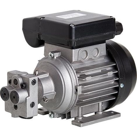 Agregat de transfert de fioul Type VD2, 55 l/h - 150 W BG